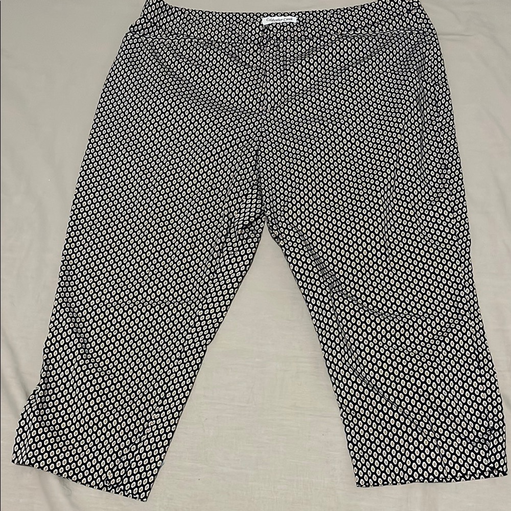 Coldwater Creek geometric print capri pants GUC